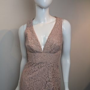 Trina Turk Los Angeles Sheath Dress Size 0 Beige Lace Sleeveless V Neck